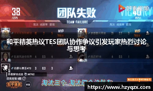 和平精英热议TES团队协作争议引发玩家热烈讨论与思考