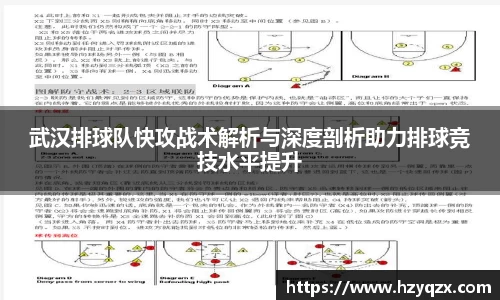 武汉排球队快攻战术解析与深度剖析助力排球竞技水平提升