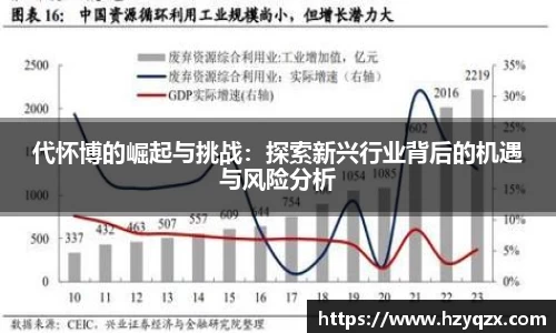 代怀博的崛起与挑战：探索新兴行业背后的机遇与风险分析